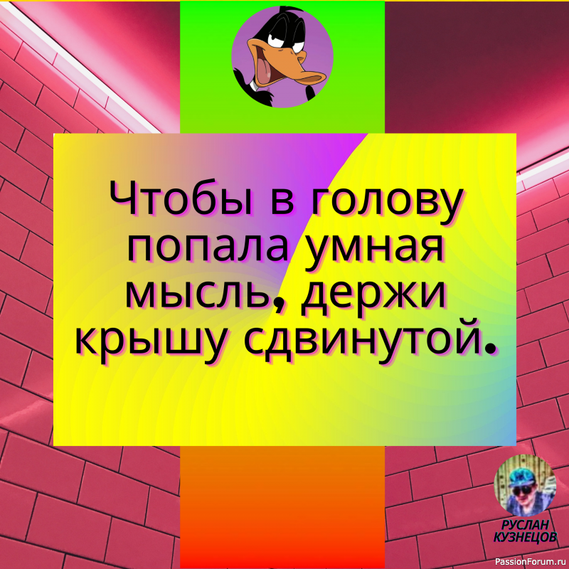 Чем мудрее становится человек, тем меньше он находит поводов для обид.