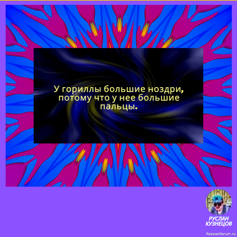 Юмор, что &laquo;солнечный зайчик&raquo;, одним поднимает настроение, других слепит.