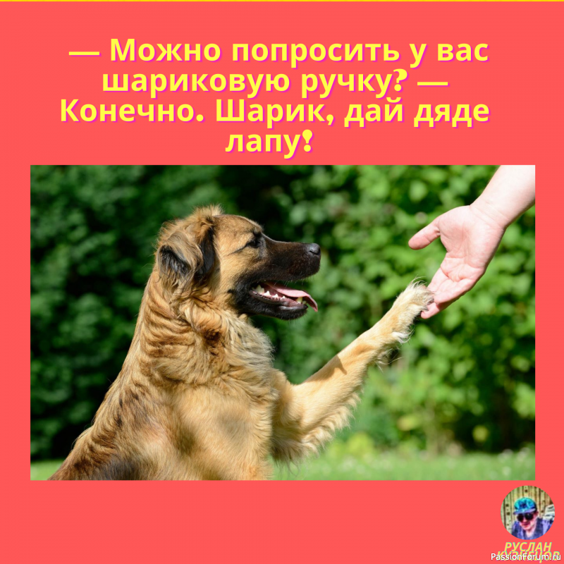 &quot;Всё шуточки&quot; Для Вас!!!!!!!!!!!!!!!