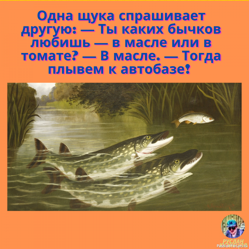 &quot;Всё шуточки&quot; Для Вас!!!!!!!!!!!!!!!