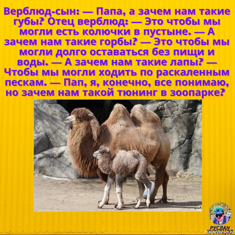 &quot;Всё шуточки&quot; Для Вас!!!!!!!!!!!!!!!