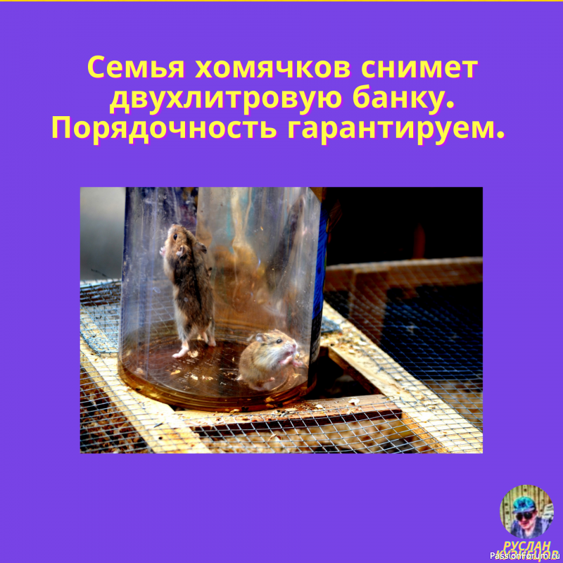 &quot;Всё шуточки&quot; Для Вас!!!!!!!!!!!!!!!