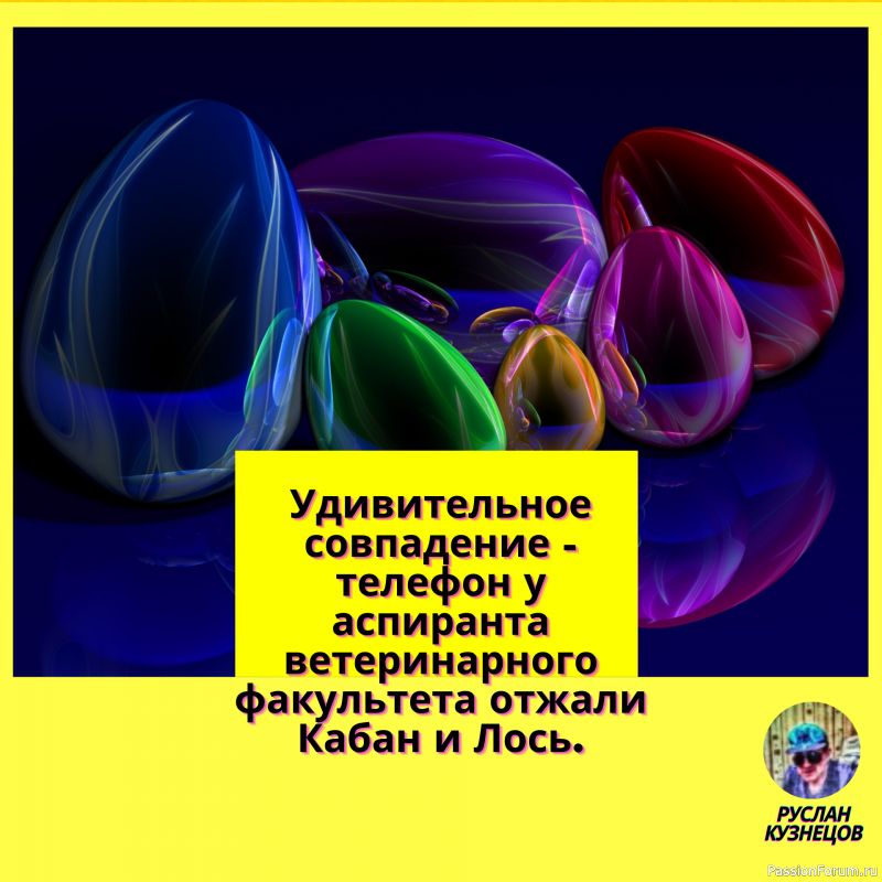 Вернувшиеся с юга птицы напали на прохожего и отобрали у него пуховик.