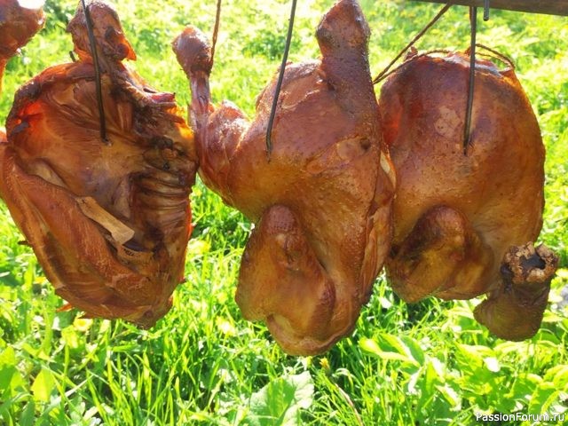 Как коптить птицу в домашних условиях, советы мастеров