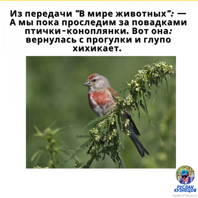 Подпитка хорошим Анекдотиком, всегда на пользу человеку!!!!!!!!!!!!!!!