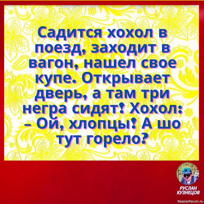 Чёрная кошка перешла дорогу женщине с пустым ведром&hellip; Теперь у обоих проблемы