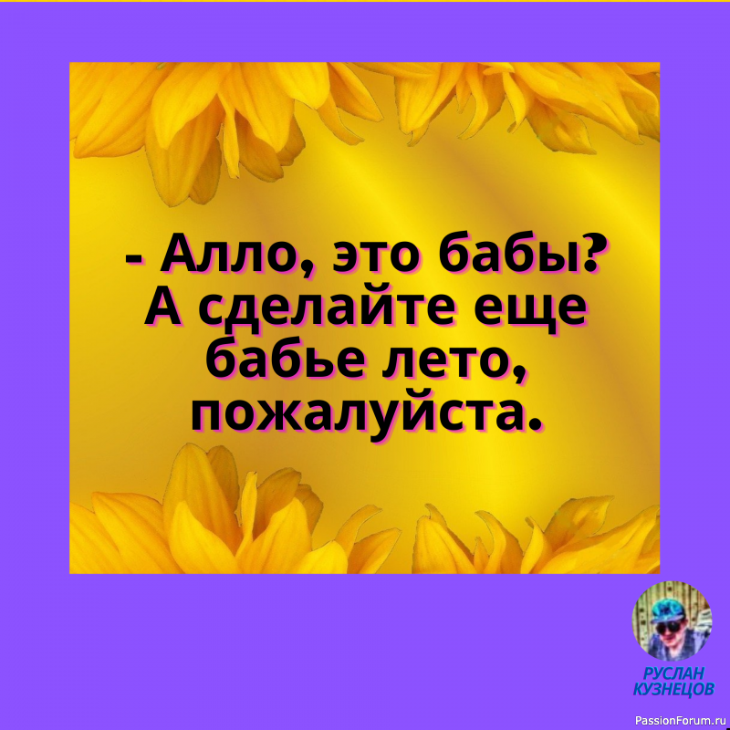 Чёрная кошка перешла дорогу женщине с пустым ведром&hellip; Теперь у обоих проблемы