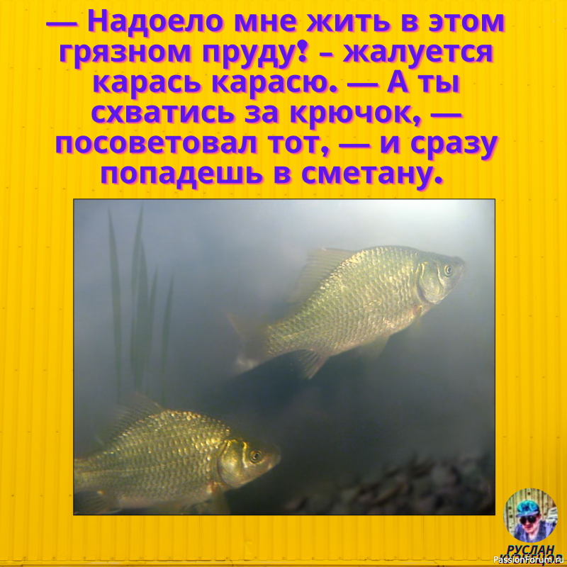 &quot;Всё шуточки&quot; Для Вас!!!!!!!!!!!!!!!