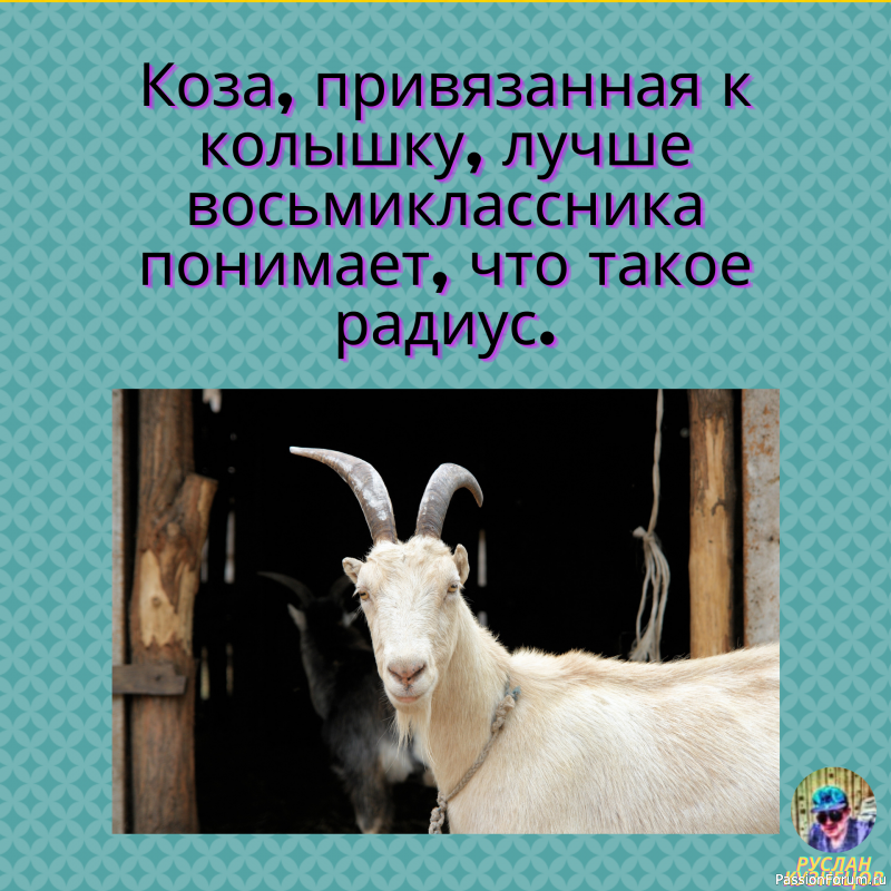И Ещё немного юмора для вас, мои хорошие!!!