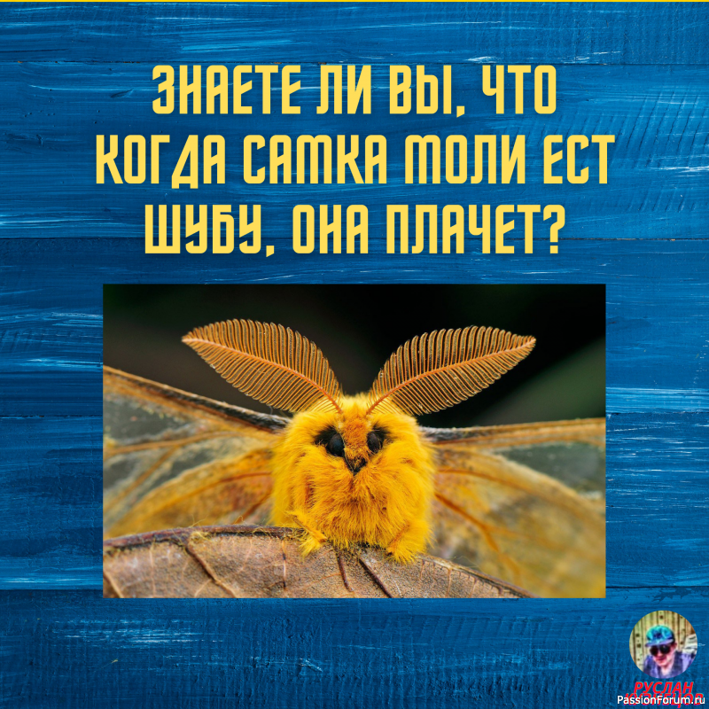 Юмор &ndash; это искусство!!!