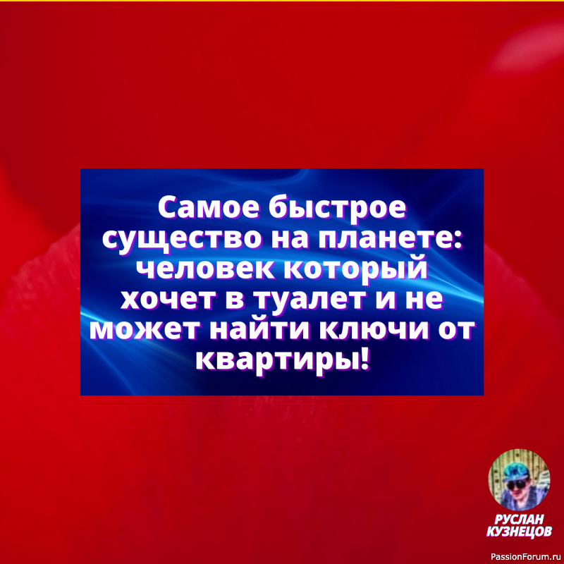 Коротко о себе. Доставать не рекомендуется: сама не в курсе, какой толщины моя пушистость.