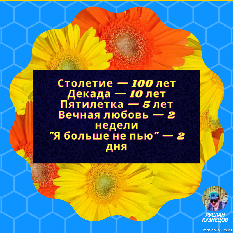 Идеальный сосед тот, кто шумит точно в то же время, что и вы.