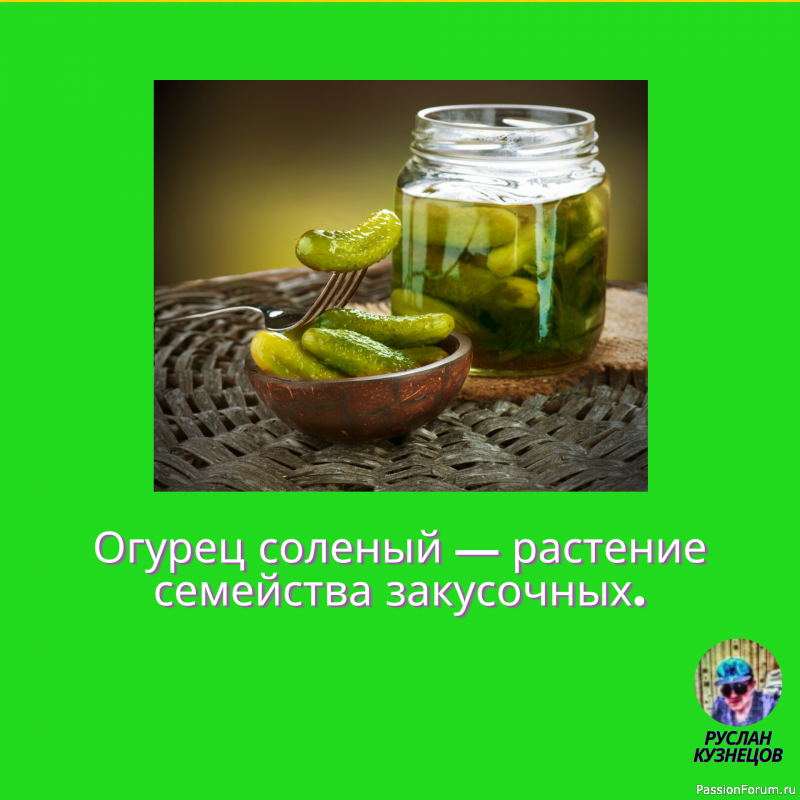 Смех гремит только в компании, где все чувствуют себя равными. (О. Бальзак)