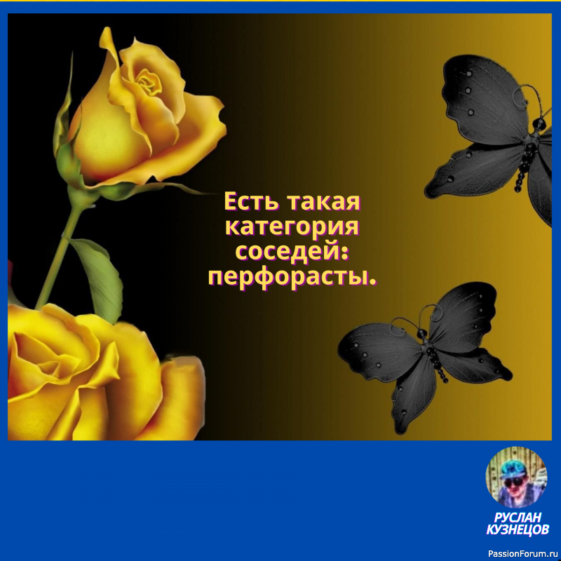 - Судьба барабанщика &mdash; смотреть на три задницы, стоящие перед тобой. Ринго Старр