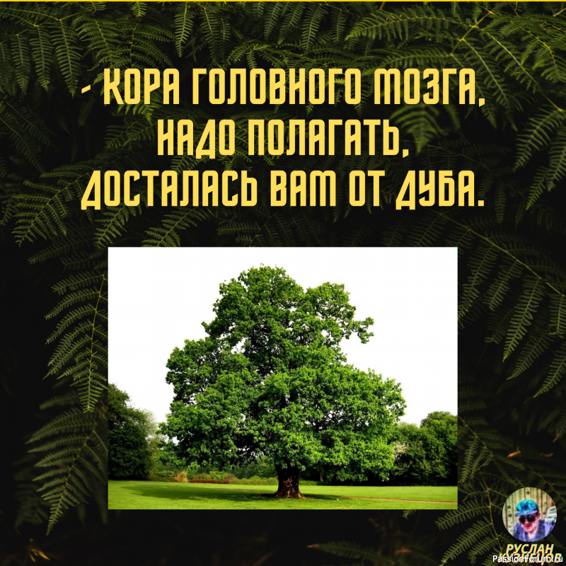 Смех от счастья - признак спокойствия и благополучия!!!
