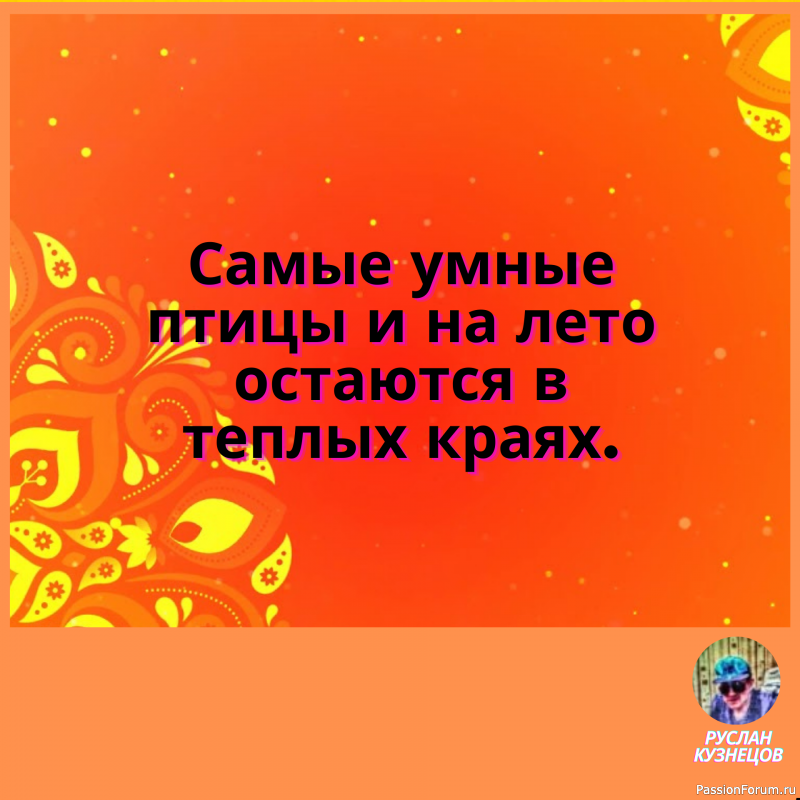 Чёрная кошка перешла дорогу женщине с пустым ведром&hellip; Теперь у обоих проблемы