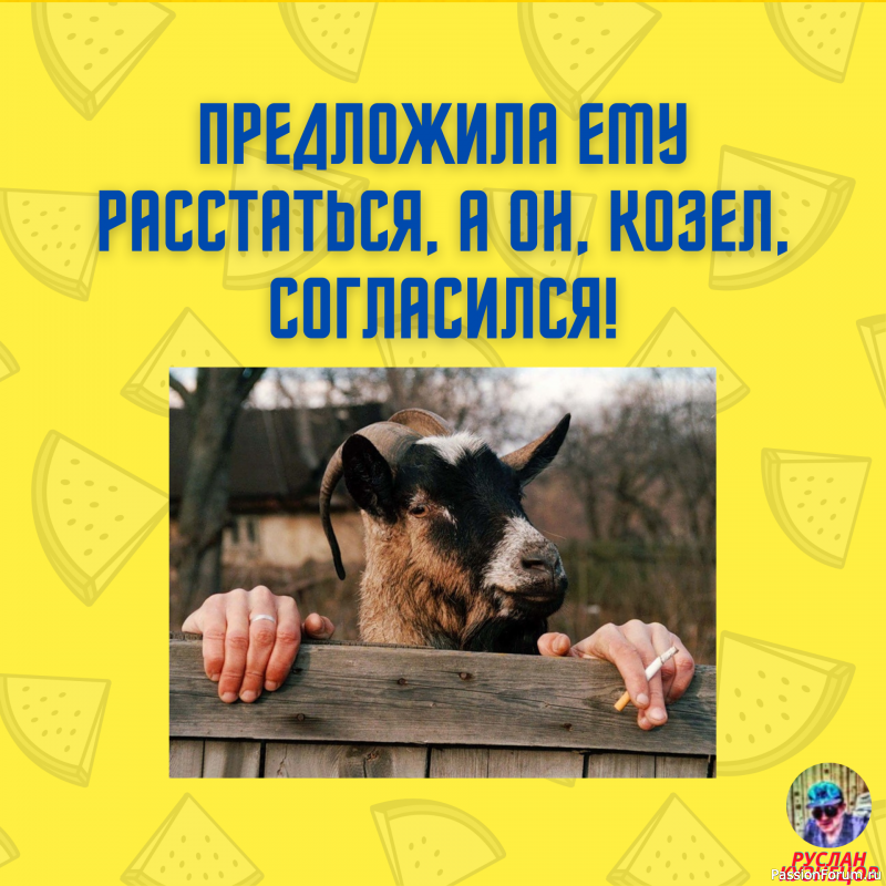 Юмор &ndash; это искусство!!!