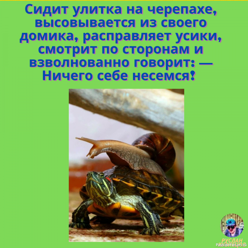 &quot;Всё шуточки&quot; Для Вас!!!!!!!!!!!!!!!