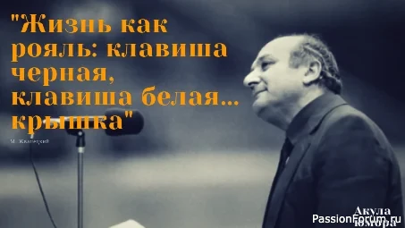 Лучшие высказывания о жизни, которыми говорит вся Россия. В память о Жванецком