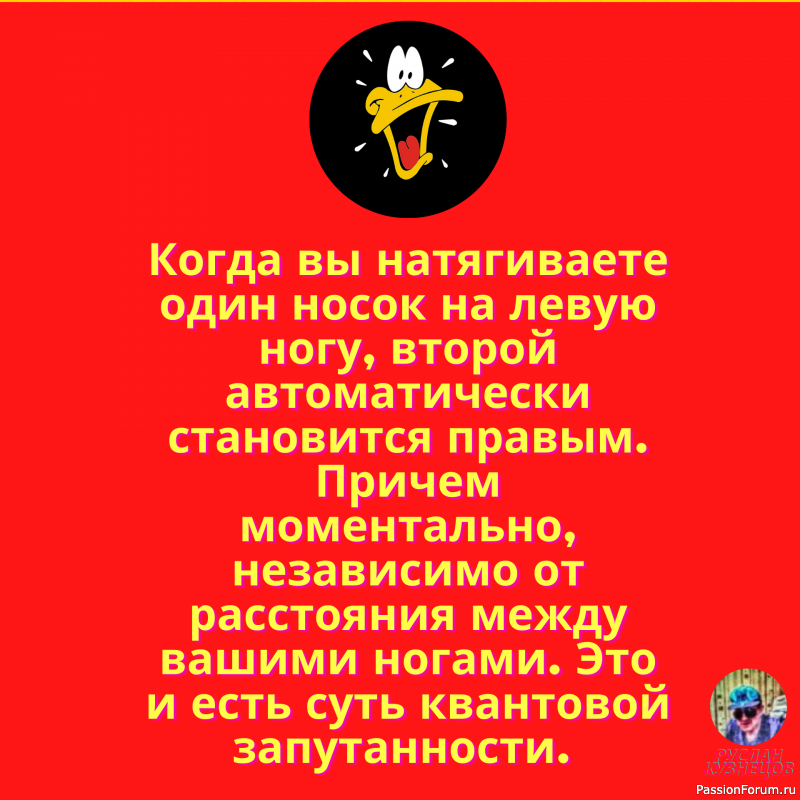 Я в идеальной форме. Круг &ndash; это форма, не так ли?