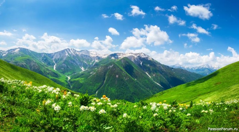 Известные женщины в садоводстве
