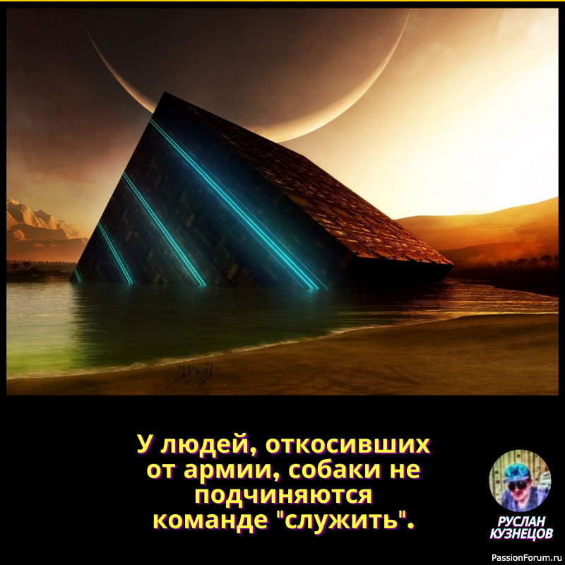 Вернувшиеся с юга птицы напали на прохожего и отобрали у него пуховик.