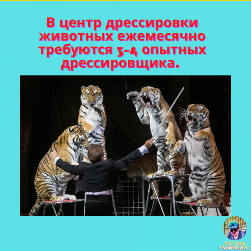 &quot;Всё шуточки&quot; Для Вас!!!!!!!!!!!!!!!