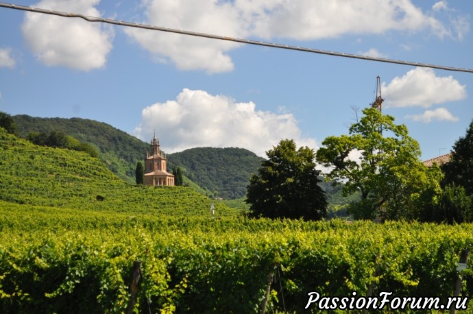 Родина вина Prosecсo- холмы Вальдоббьядине( colline valdobbiadene)