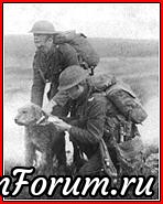 Четырехлапым защитникам Отечества Посвящается...