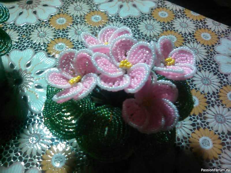 Мои Фиалочки.