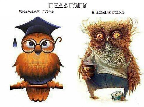 Делюсь юмором. Мизерная часть из того, что есть