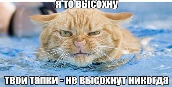 Всякая всячина (подборка полезностей и интересностей)