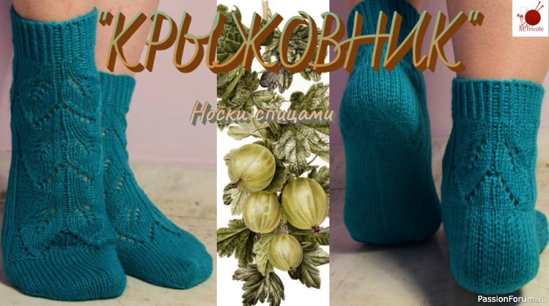Носочки спицами из серии &quot;ФЛОРА&quot;. &quot;КРЫЖОВНИК&quot;.