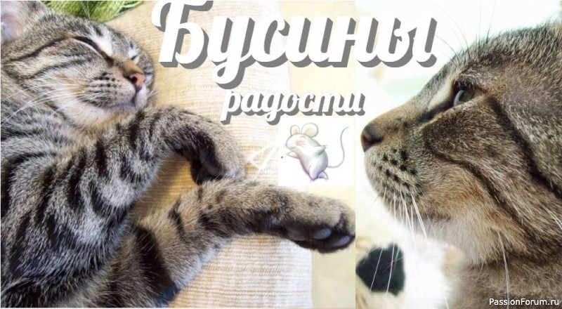 Буся - ученица.
