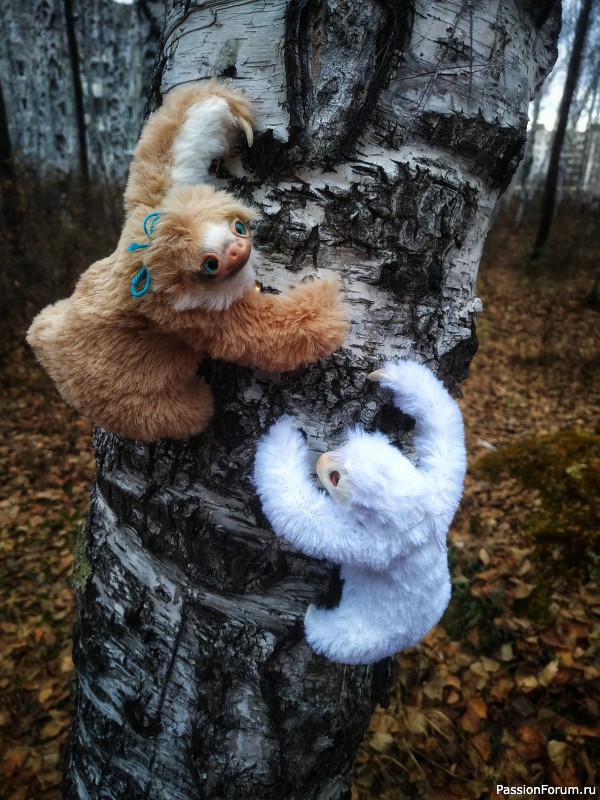 Ленивцы