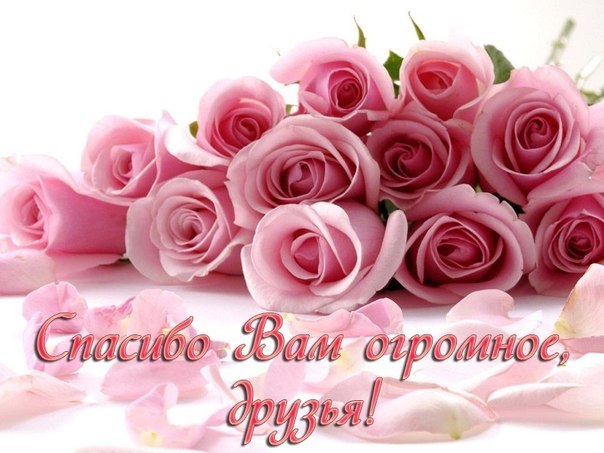 Спасибо за поздравления, друзья! Я вас люблю!