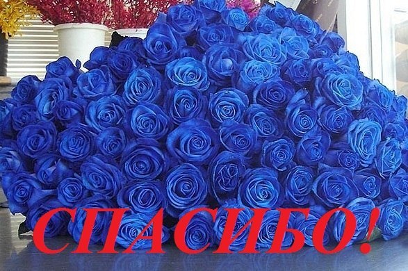 ​Сундук морских сокровищ