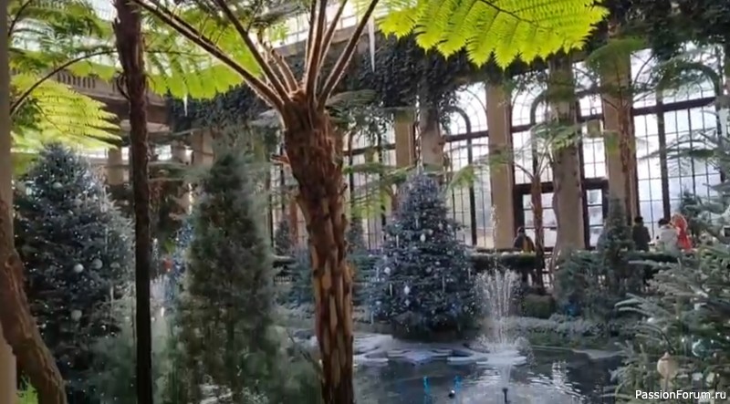 С Новым годом! Последнее видео в 2021 году! Сады Дюпона в Пенсильвании. Longwood gardens.