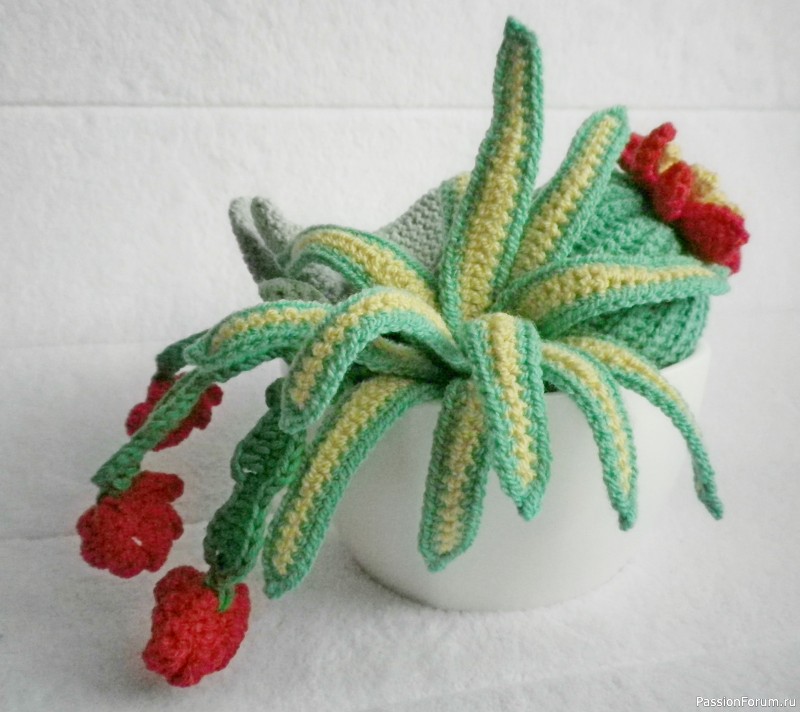 Вязаные кактусы и суккуленты, необычные идеи. Crocheted houseplants.