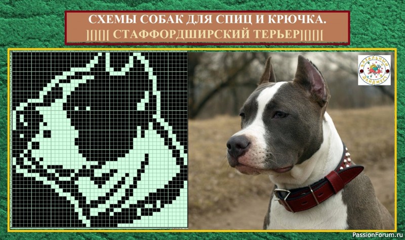 ДАВАЙТЕ СВЯЖЕМ МОДЕЛЬ С ЛЮБИМЫМ ПИТОМЦЕМ! СХЕМЫ СОБАК ДЛЯ СПИЦ И КРЮЧКА.