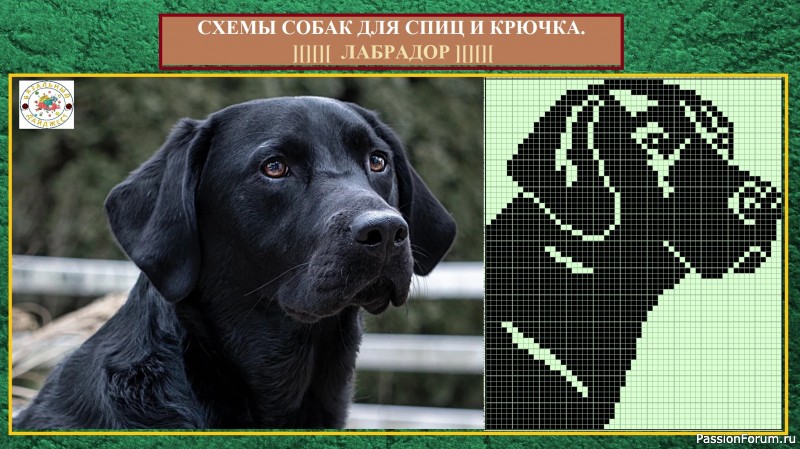 ДАВАЙТЕ СВЯЖЕМ МОДЕЛЬ С ЛЮБИМЫМ ПИТОМЦЕМ! СХЕМЫ СОБАК ДЛЯ СПИЦ И КРЮЧКА.