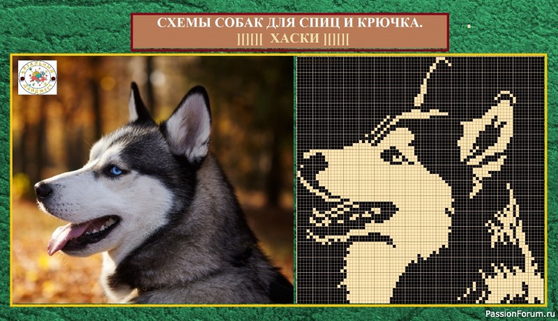 ДАВАЙТЕ СВЯЖЕМ МОДЕЛЬ С ЛЮБИМЫМ ПИТОМЦЕМ! СХЕМЫ СОБАК ДЛЯ СПИЦ И КРЮЧКА.