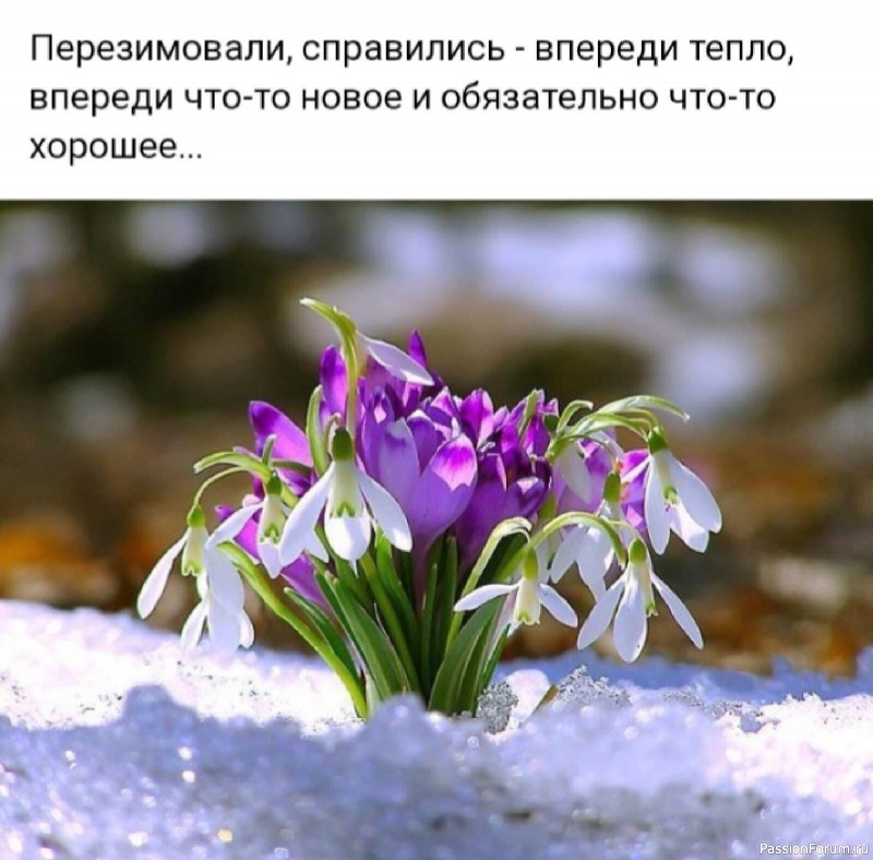 Весна идет! Весне дорогу!