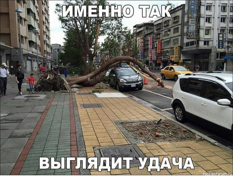 Вокруг смеха (в картинках)....