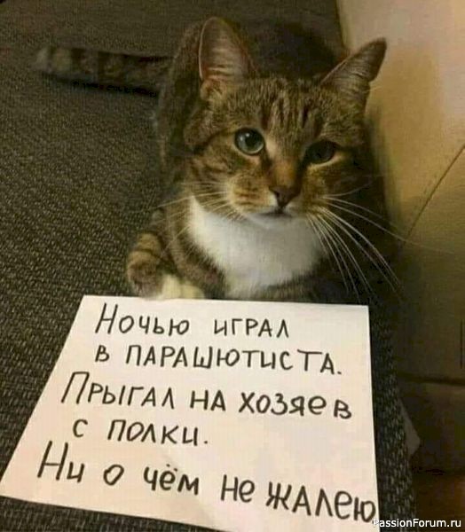 Вокруг смеха (в картинках)....