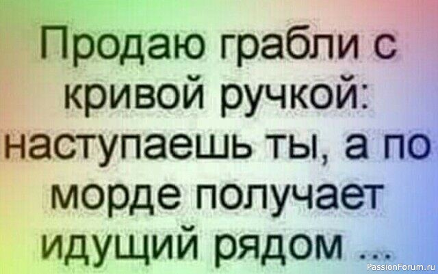 Вокруг смеха