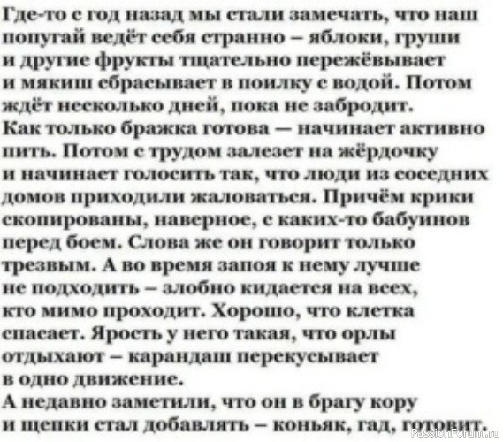 Смешные картинки (из интернета)