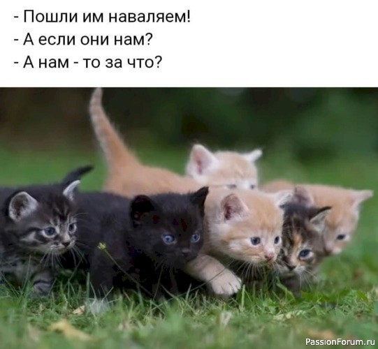 Вокруг смеха (в картинках)....