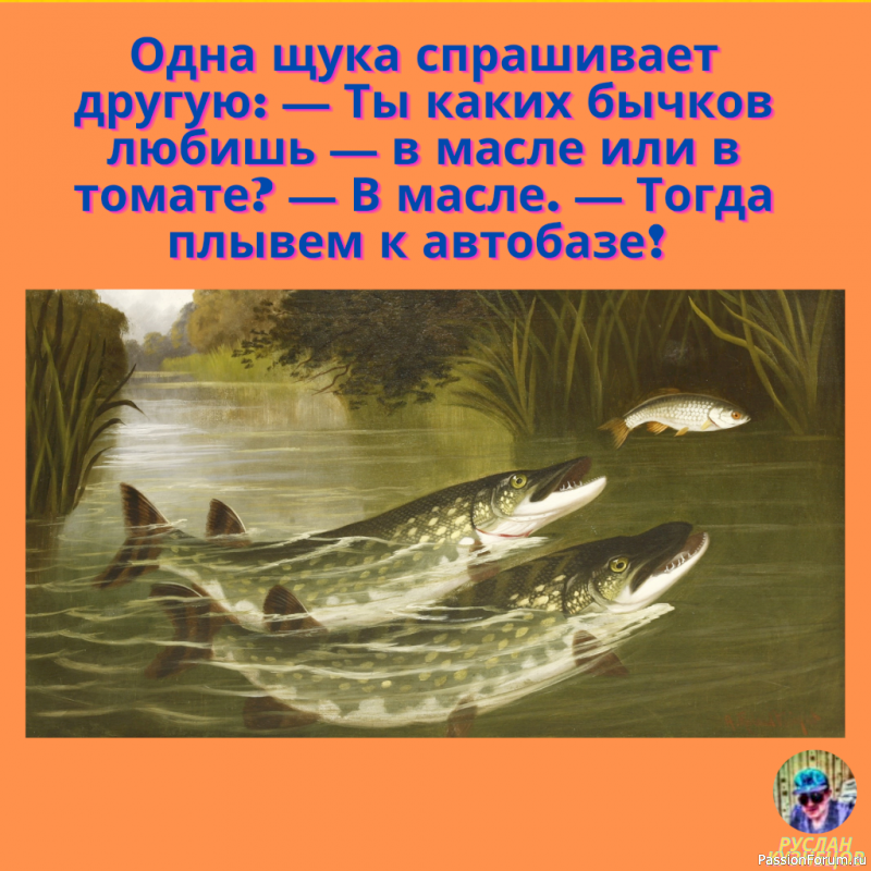 Смешные картинки (из интернета)