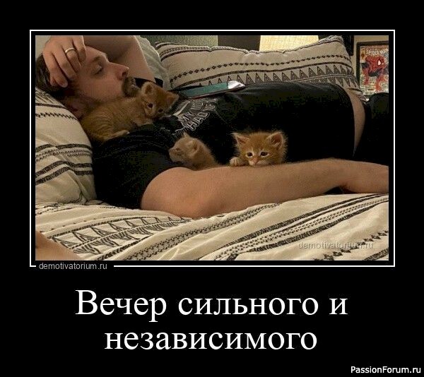 Вокруг смеха